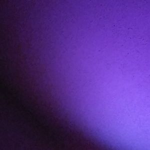 Meet your Posher, Dashunta